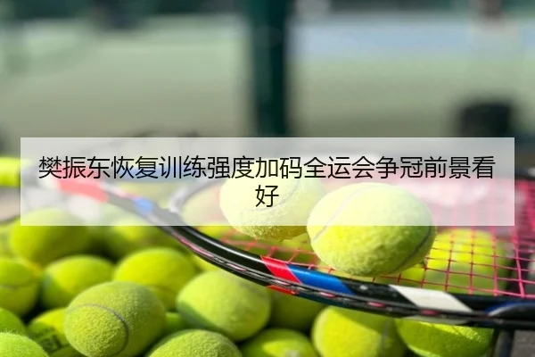 樊振东恢复训练强度加码全运会争冠前景看好